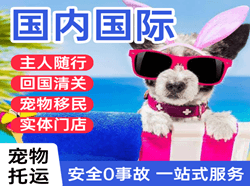阿里普兰空运国际宠物托运 【国