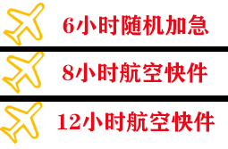 阿里普兰空运快递公司,专业空运当天件